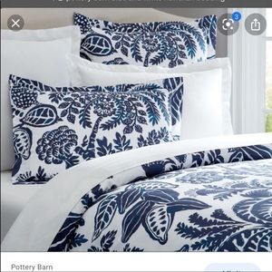 Pottery Barn Rae Duvet Cover & (2) Shams - Queen